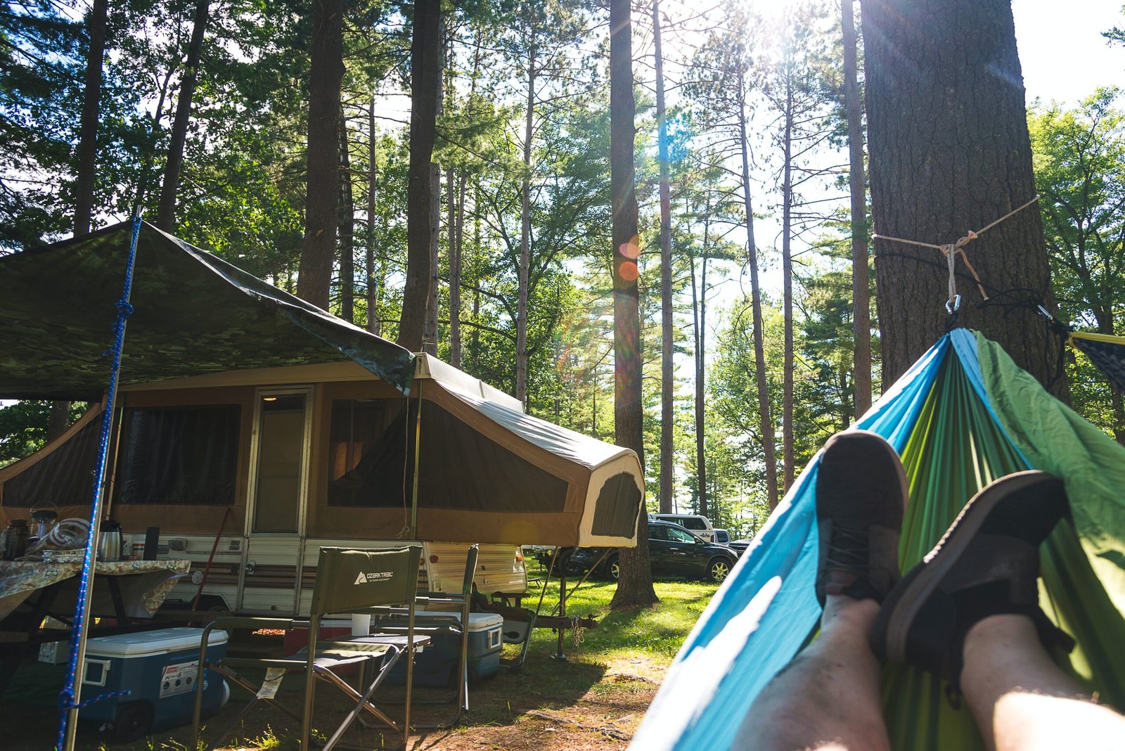 blue and white tent in forest during daytime